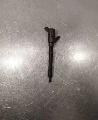 Hyundai Santa Fe Fuel injector 0445110254 3380027800