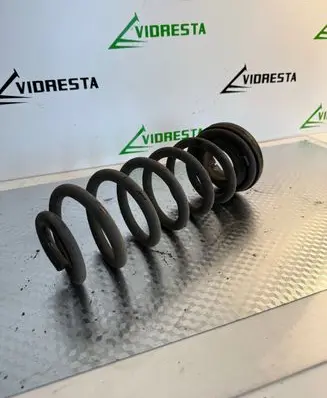 Rear coil spring