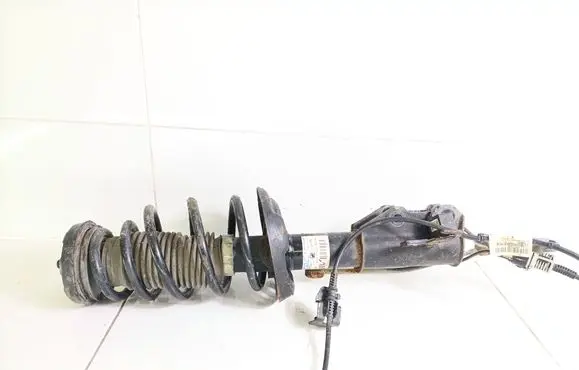 Opel Insignia A Front shock absorber with coil spring 314801718 22957278