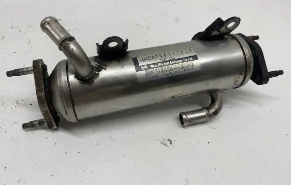 Chevrolet Captiva EGR valve cooler 96817829 C027396