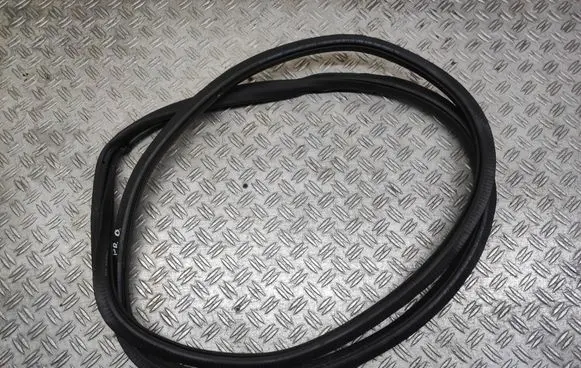 Volkswagen PASSAT B7 Front door rubber seal DA06159018