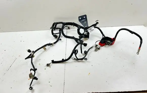 Ford Mustang Mach-E Other wiring loom NJ8T12B637