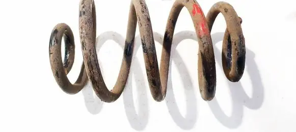 Nissan Leaf I (ZE0) Rear coil spring 