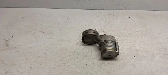 Seat Leon (1M) Generator/alternator belt tensioner