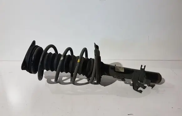 Nissan Qashqai Front shock absorber/damper 54303HV01A