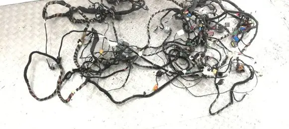 Other wiring loom