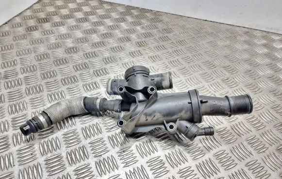 Thermostat/thermostat housing