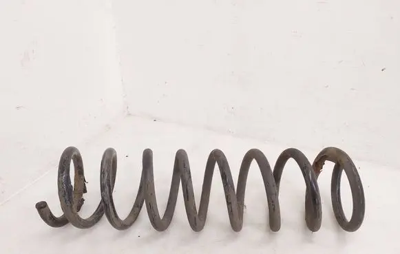 Rear coil spring