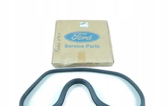 Ford Escort Rear door glass trim molding 6644265