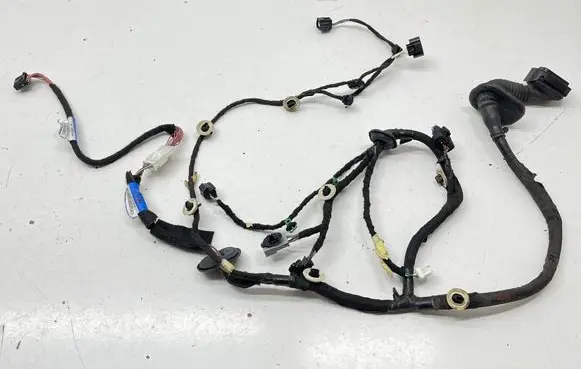 Front door wiring loom