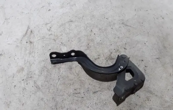 Hyundai Ioniq Engine bonnet/hood hinges 79110-G2000
