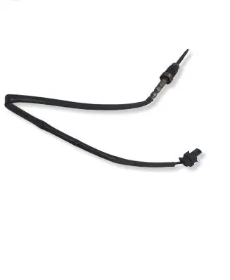 BMW X5 E70 Intake air temperature sensor 