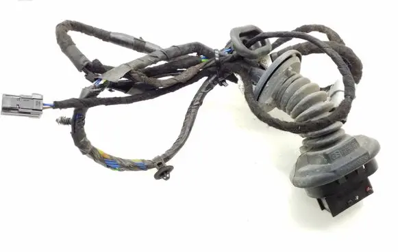 Rear door wiring loom