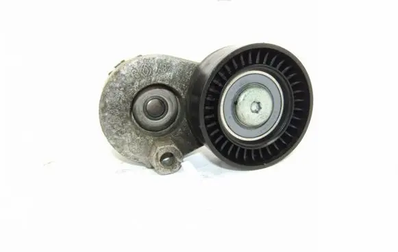 Renault Megane II Alternator belt tensioner 8200048486