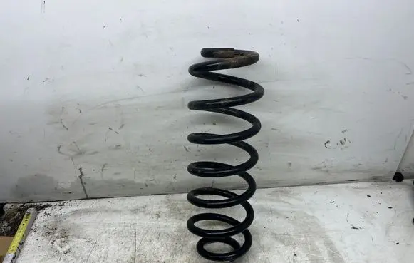 Volkswagen PASSAT B6 Rear coil spring