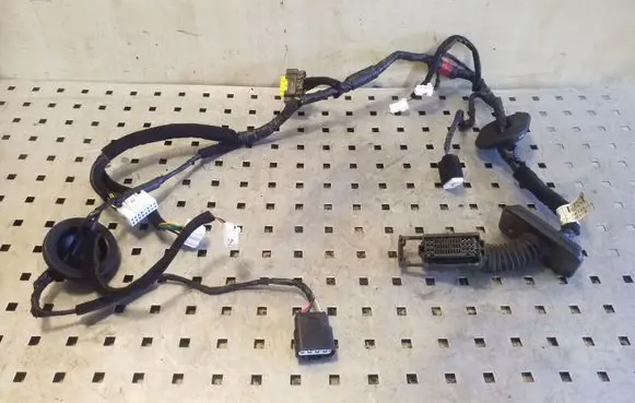 Hyundai i40 Front door wiring loom 919812T100