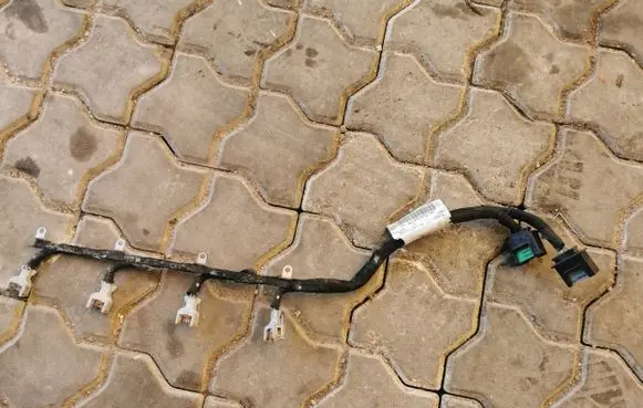 Citroen C5 Fuel injector wires 9664447580 ES82 26032009