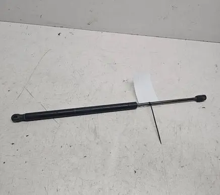Tailgate/trunk strut/damper