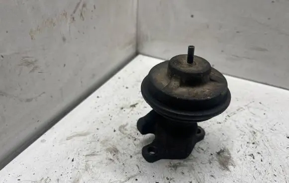 Hyundai Santa Fe EGR valve