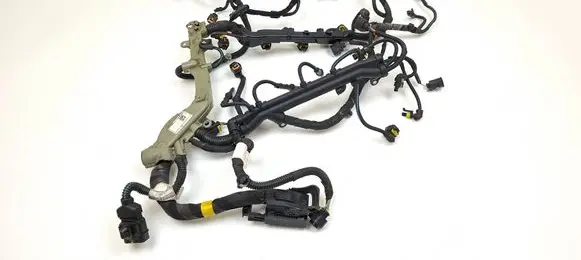 Engine installation wiring loom