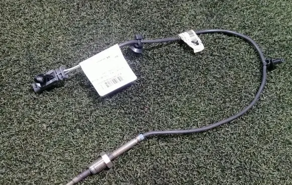 Exhaust gas temperature sensor