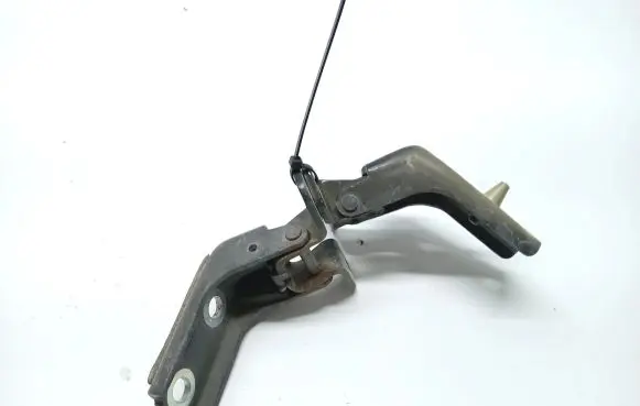 Ford Mustang V Front door hinge set 