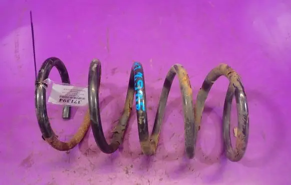 Rear coil spring