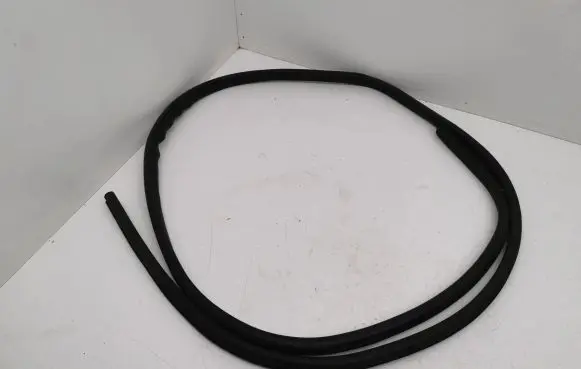 Nissan Juke II F16 Front door rubber seal