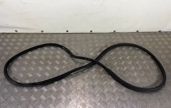 Nissan 370Z Front door rubber seal