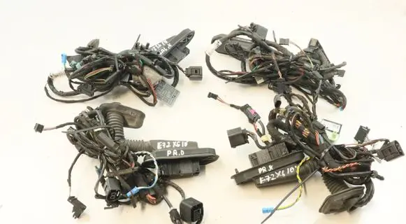 BMW X6 E71 Front door wiring loom 9203114 6900923 15701510