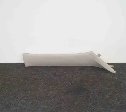 (A) pillar trim