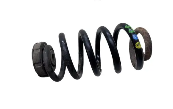 Rear coil spring