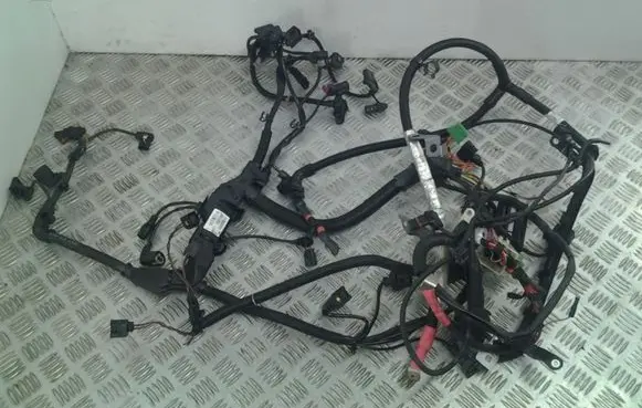 Engine installation wiring loom