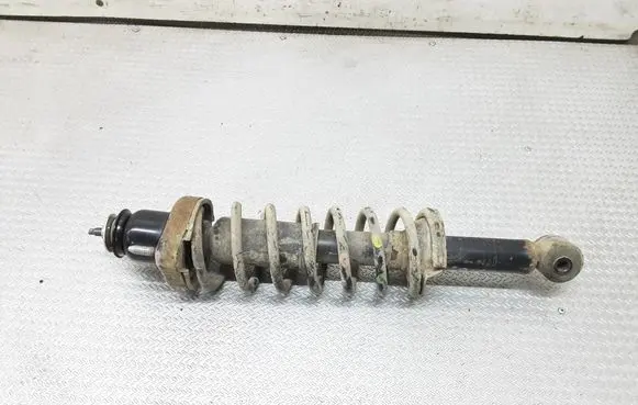 Mitsubishi ASX Rear shock absorber with coil spring 4162A192