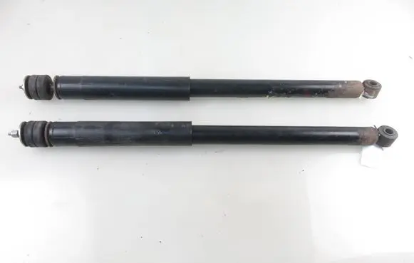 Fiat Sedici Rear shock absorber/damper 4180079J70