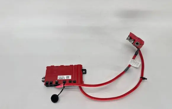 BMW 1 F20 F21 Positive wiring loom 922775204