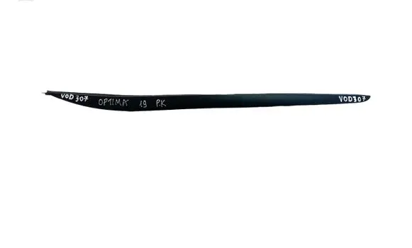 Windshield trim