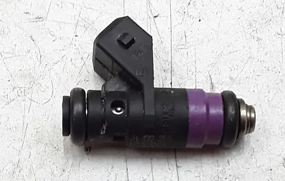 Renault Scenic RX Fuel injector h132259