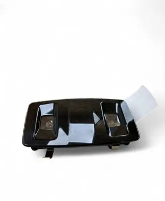 Lexus RX V Rear seat light 1D153105G