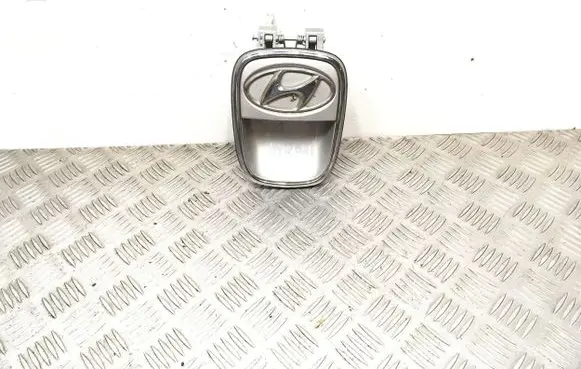 Hyundai i10 Loading door exterior handle 