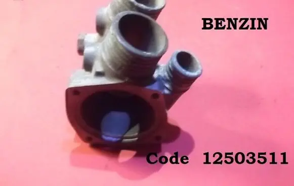 Thermostat/thermostat housing