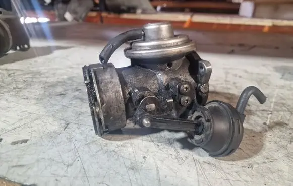 Volkswagen Sharan EGR valve 038131501J