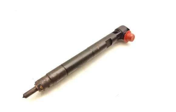 Chevrolet Captiva Fuel injector 25183186 28264951