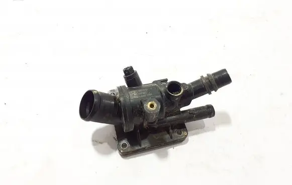 Thermostat/thermostat housing