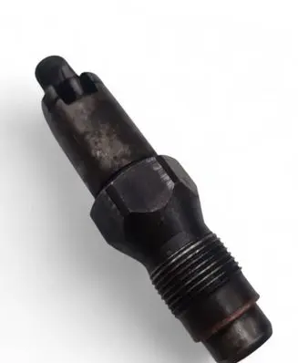 Citroen Berlingo Fuel injector LCR67360