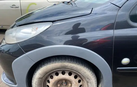 Peugeot 207 Fender