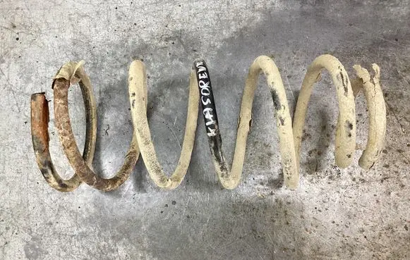 Rear coil spring