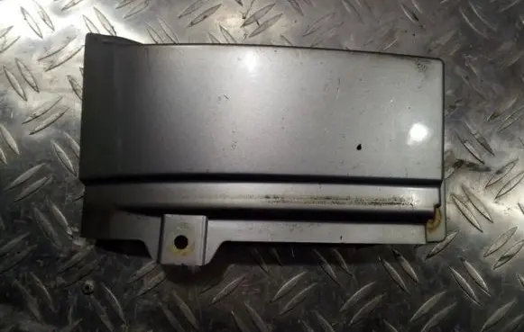 Rear/tail light trim molding