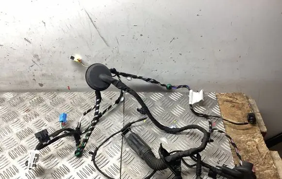 Porsche Cayenne (9Y0 9Y3) Front door wiring loom 9Y0971161FM