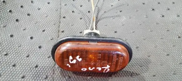 Front fender indicator light